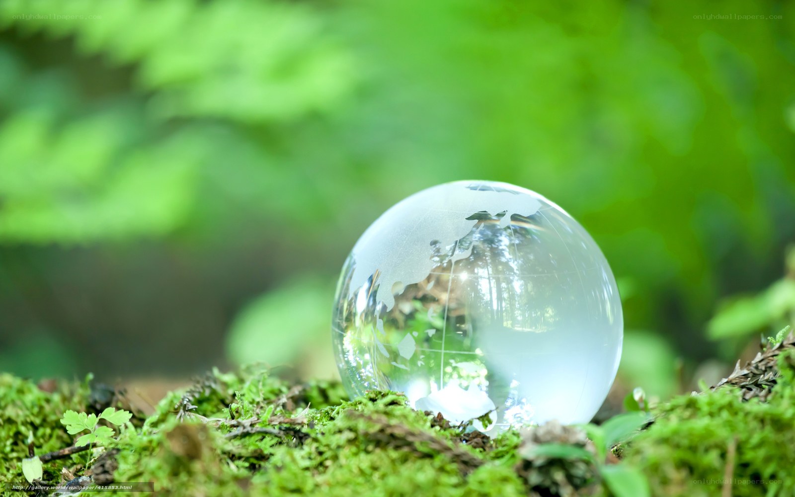 glass globe on mossy ground