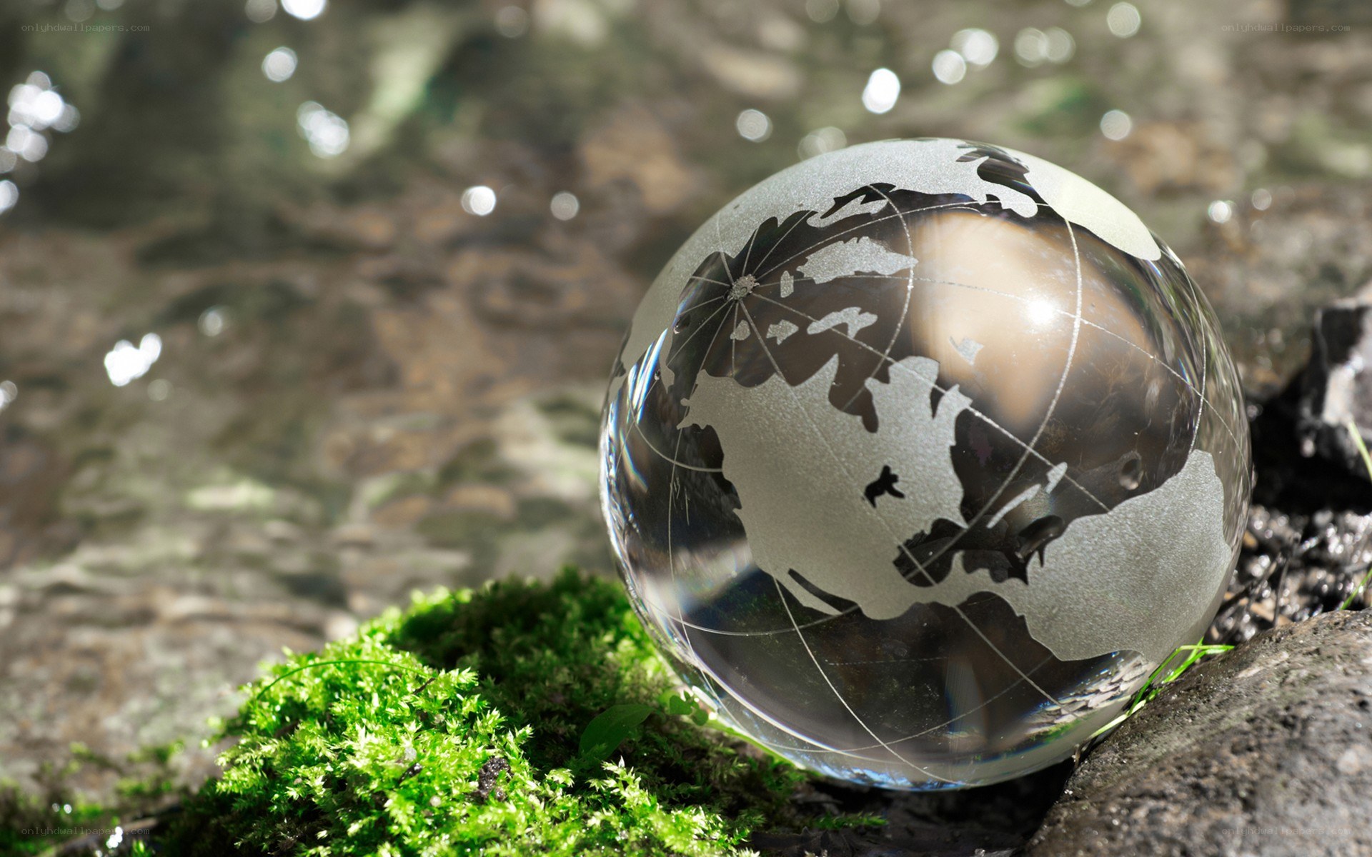 glass globe on mossy rock