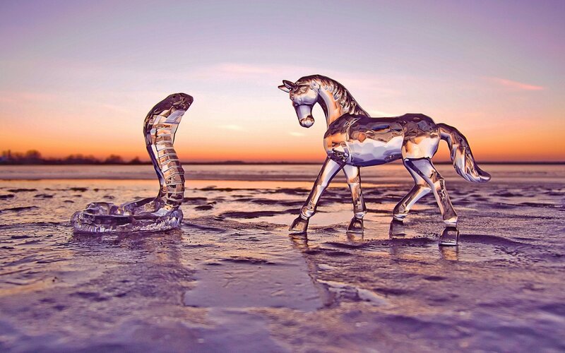 Glass Horse and Cobra
