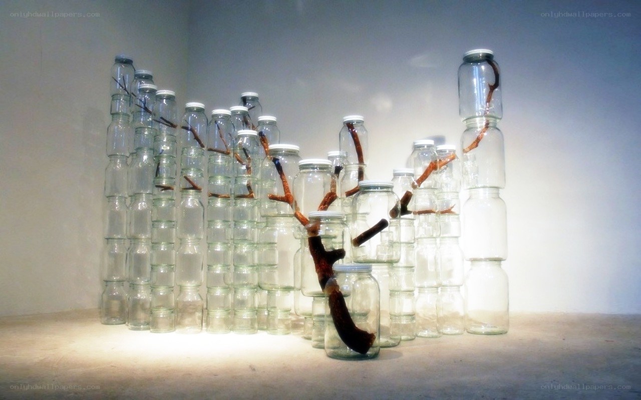 glass jars with branches sculpture