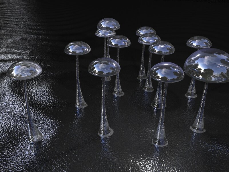 glass mushrooms in water