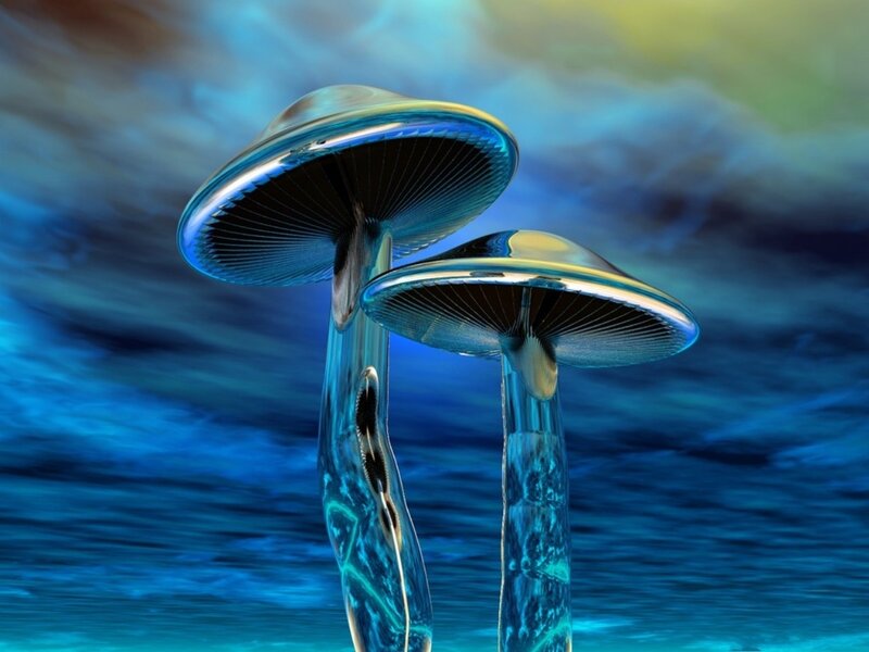 Glass Mushrooms