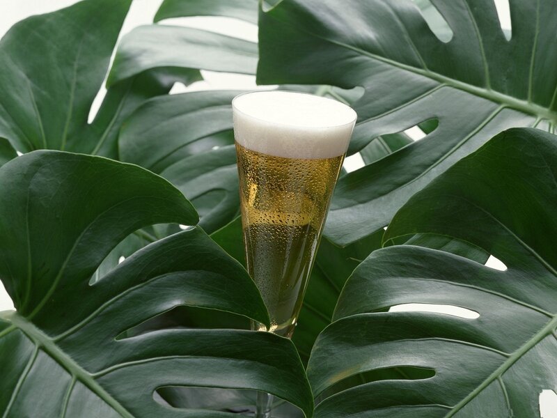 Glass of Beer in Leaves