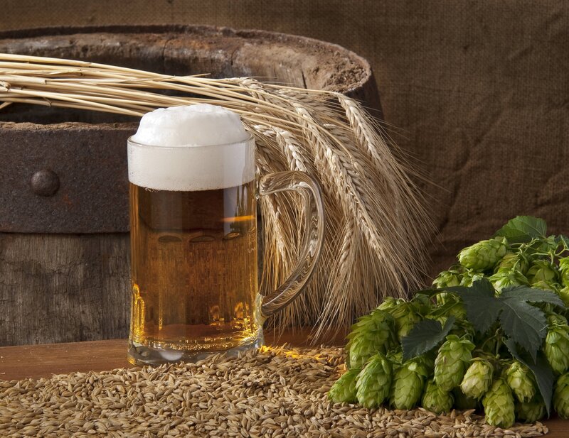 Glass of Beer with Hops — Brown, Rustic