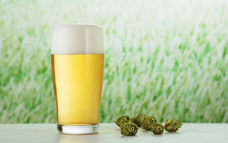 Glass of beer with hops