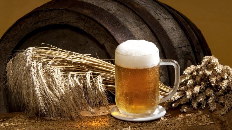 Glass of Beer with Wheat — Brown, Warm