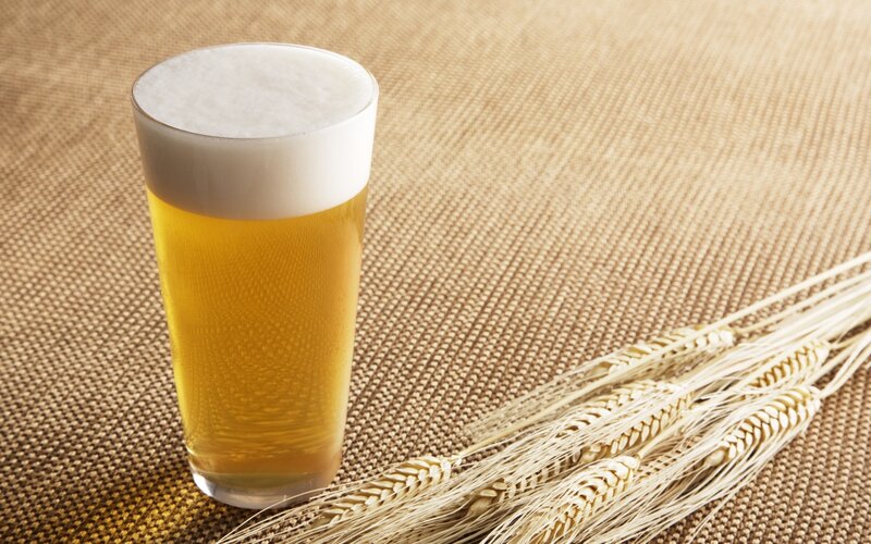 Glass of beer with wheat