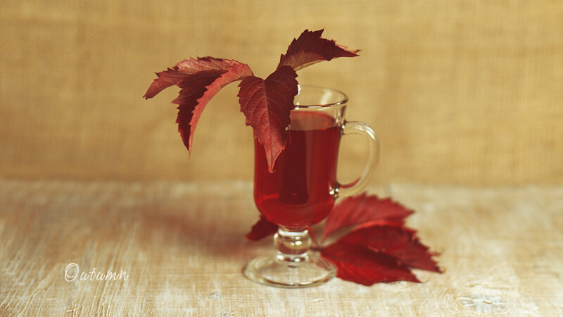 Glass of Red Liquid with Leaves