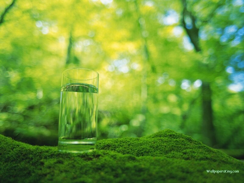 glass of water in forest