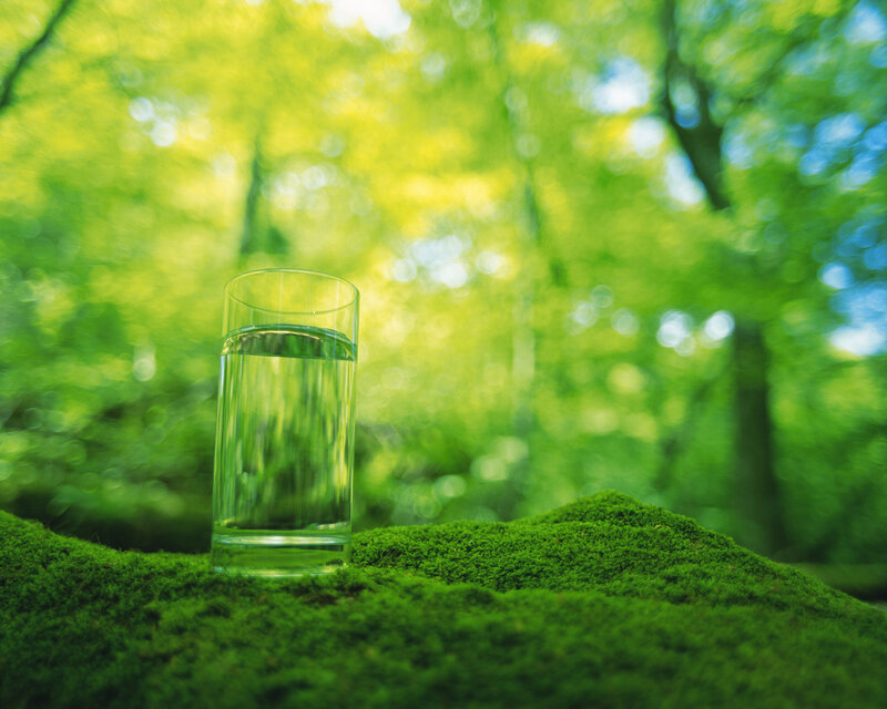 Glass of Water on Moss