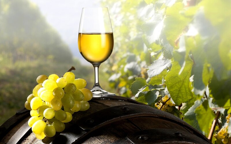 Glass of White Wine