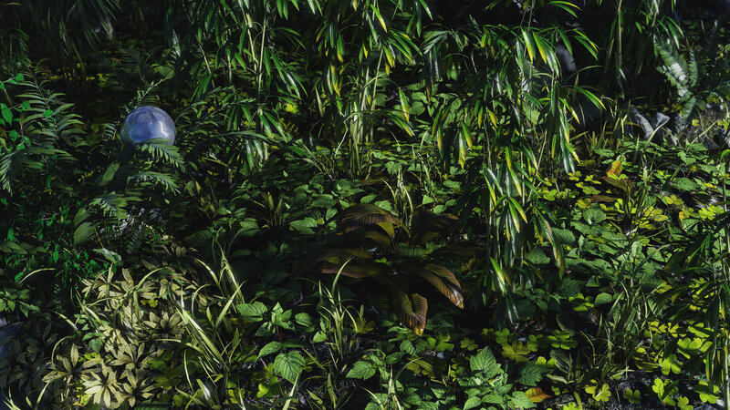 Glass Orb in Jungle