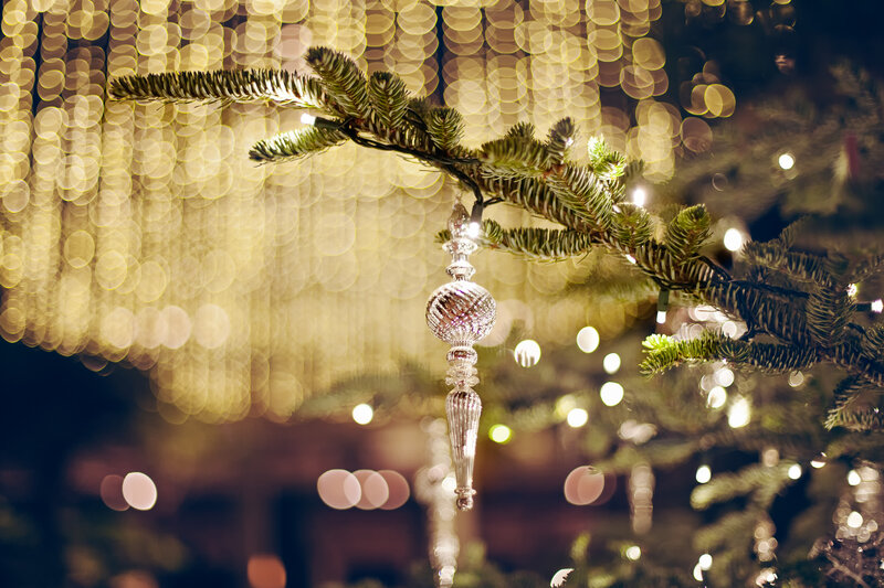 Glass Ornament on Branch