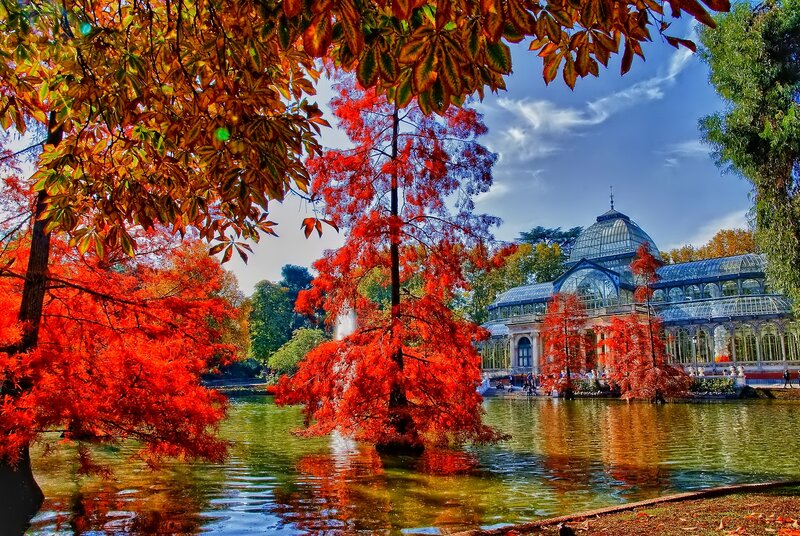Glass Pavilion in Park
