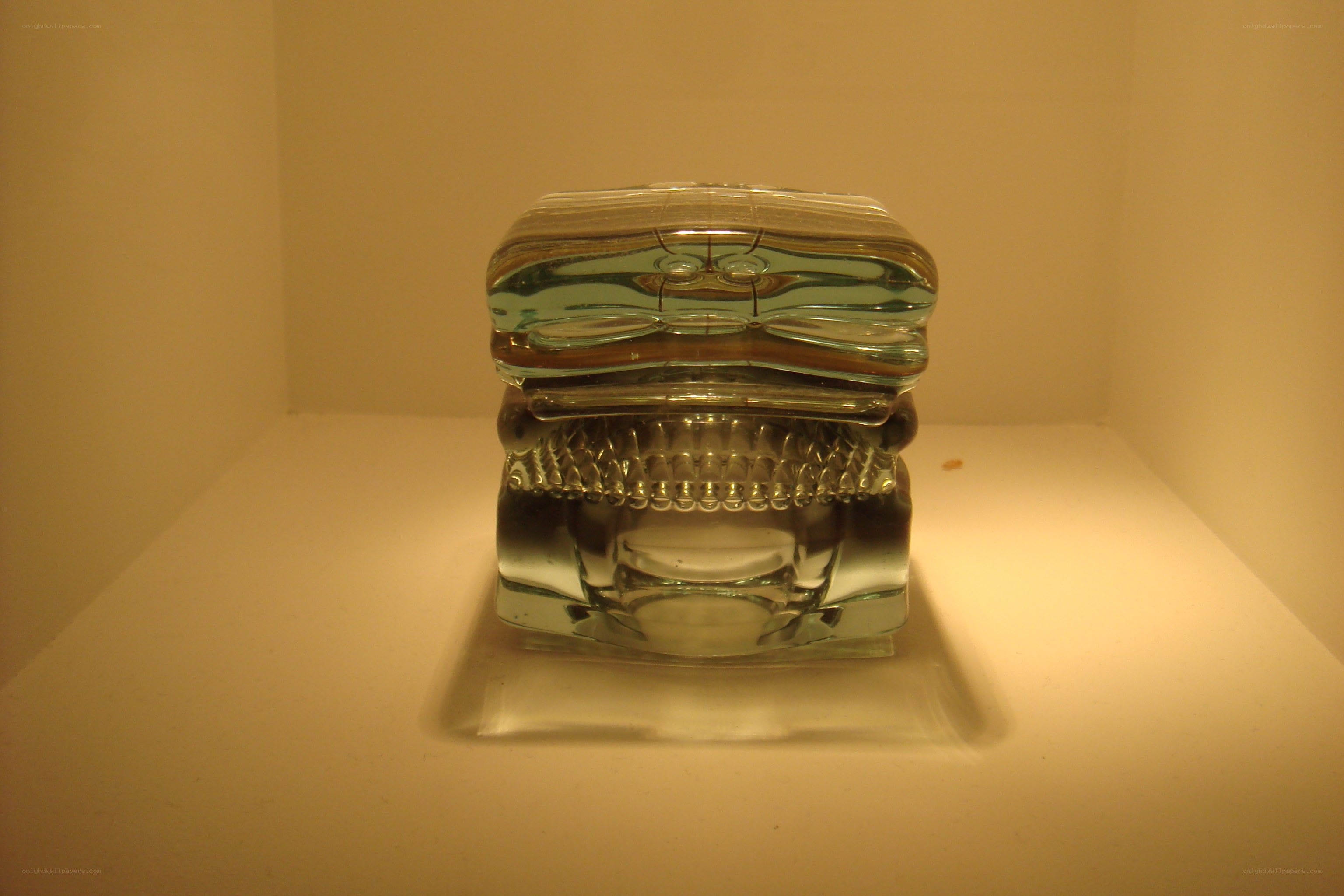 glass sculpture in display case