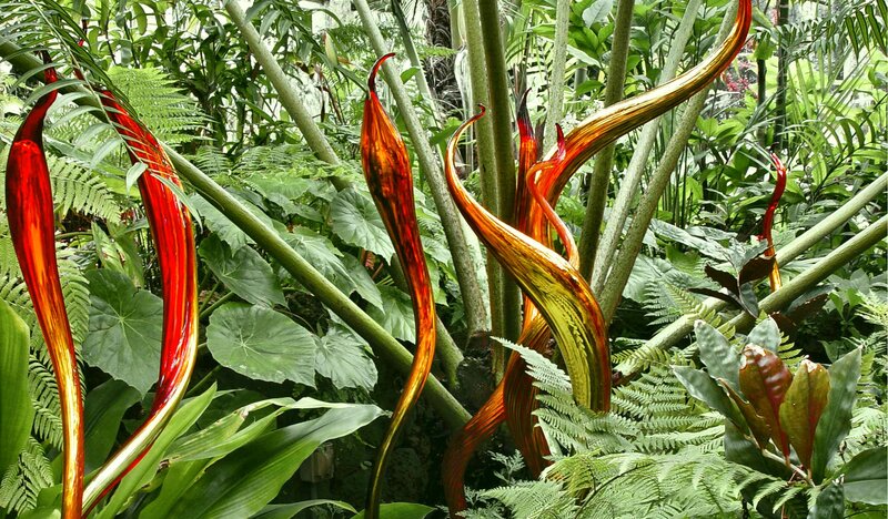 Glass Sculptures in Jungle
