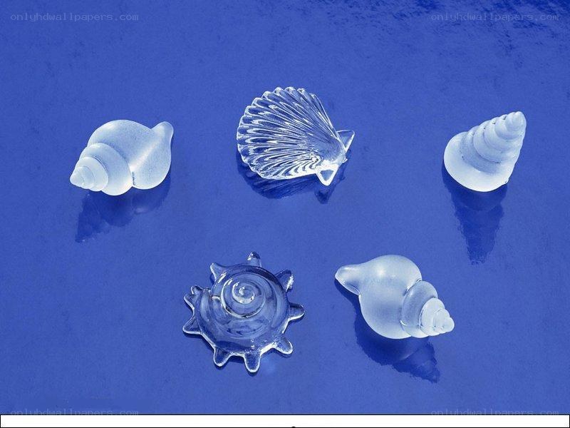 glass sea shells on blue