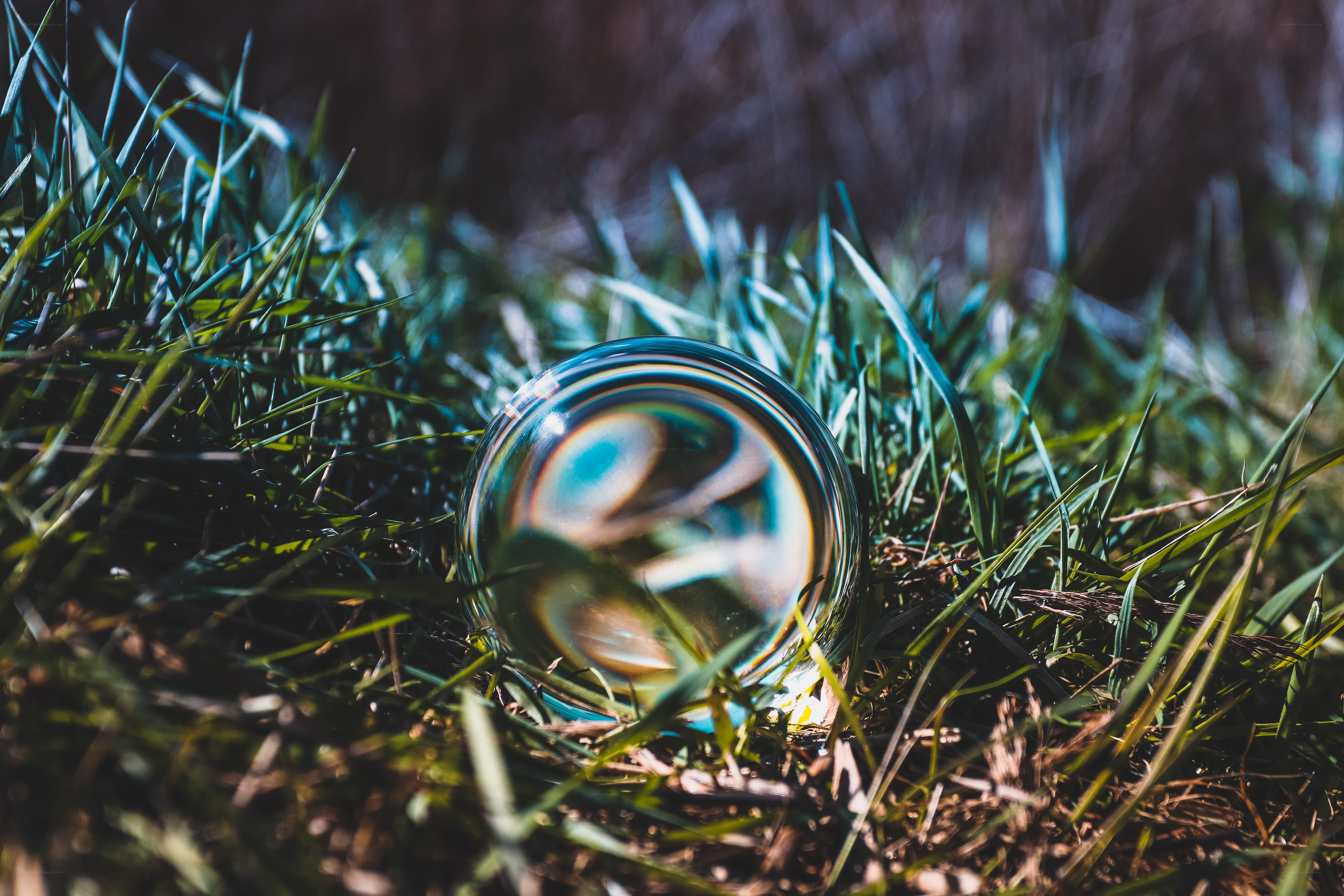 glass sphere in grass