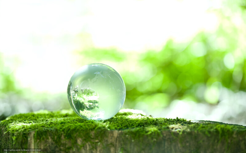 Glass Sphere on Moss — Green, Serene, Morning