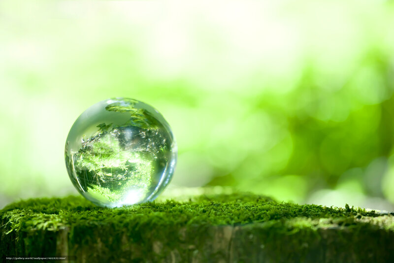 Glass Sphere on Moss — Green, Serene
