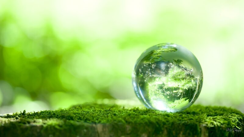 Glass Sphere on Moss