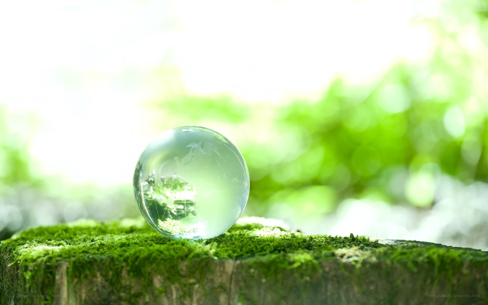 glass sphere on mossy stump