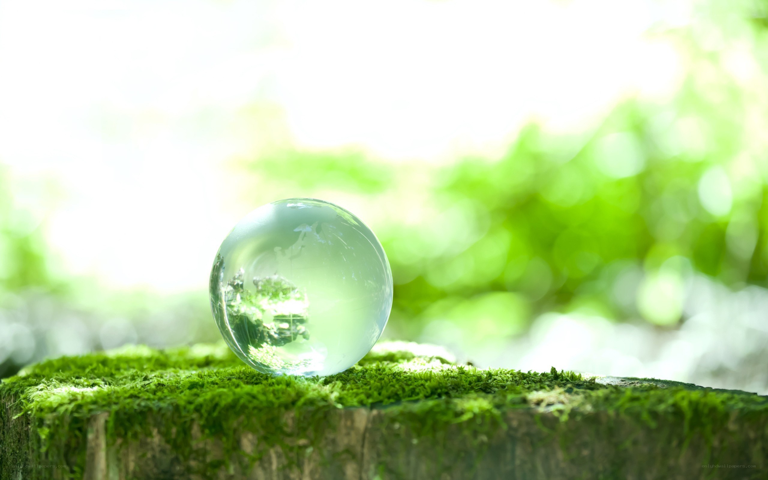 glass sphere on mossy stump