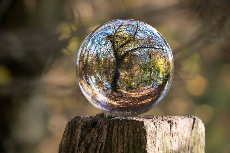 Glass Sphere on Tree Stump — Brown