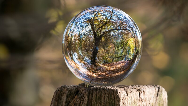 Glass Sphere on Tree Stump
