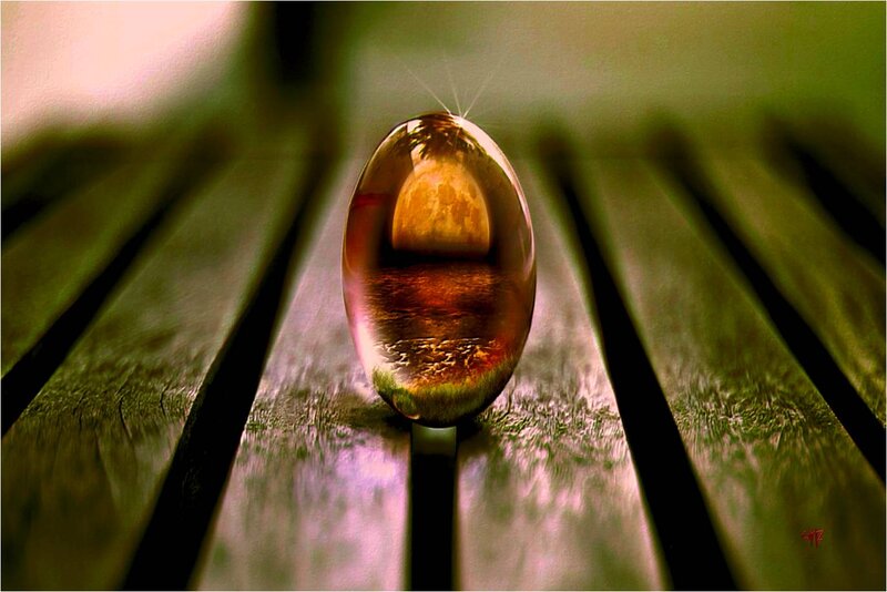 Glass Sphere on Wood — Green