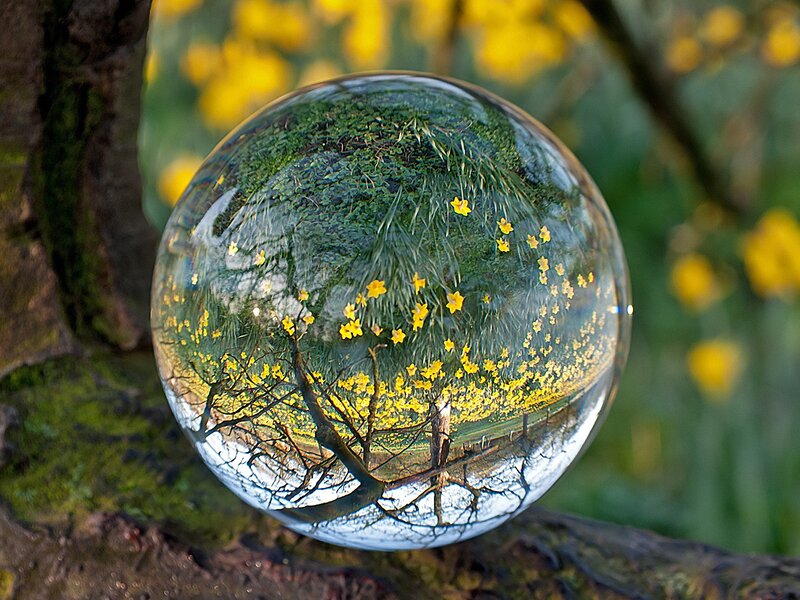 Glass Sphere with Flowers