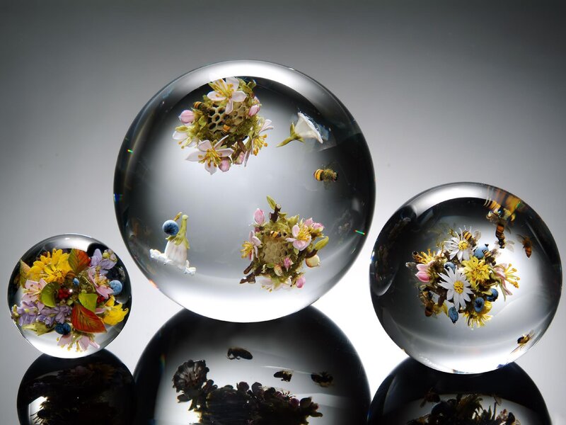 Glass Spheres with Flowers — Clear, Serene, Photograph, Bees, Honeycomb