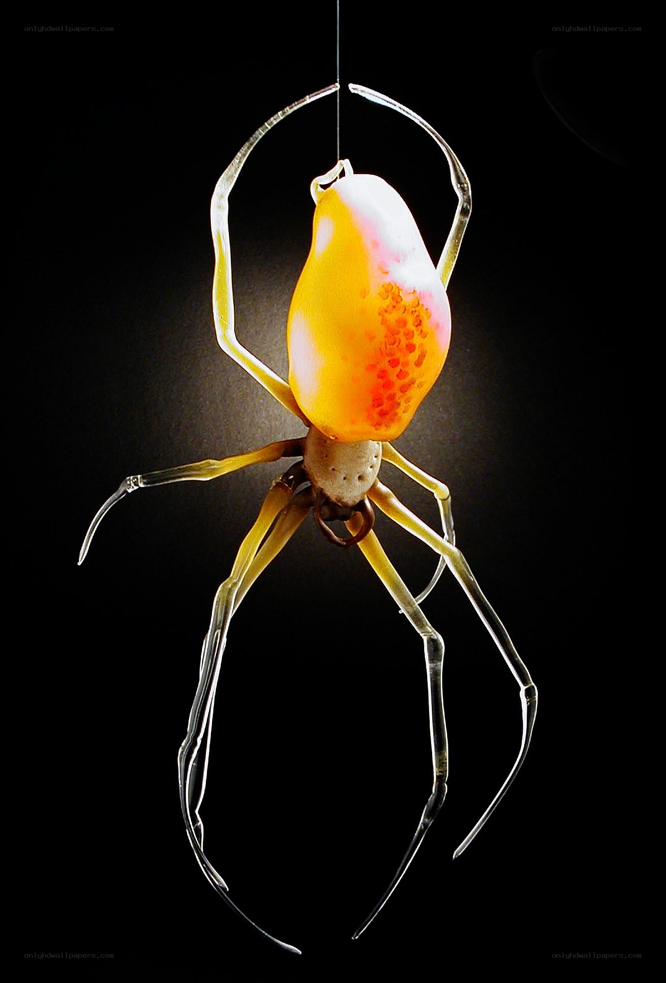 Glass spider sculpture