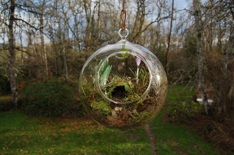 Glass Terrarium Hanging