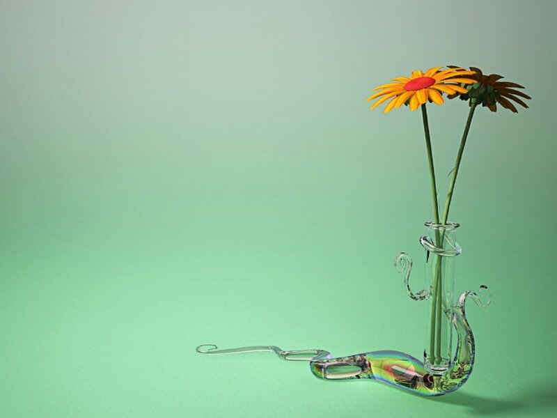 Glass vase with flowers