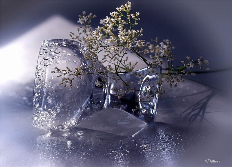 Glass Vase with Flowers — White
