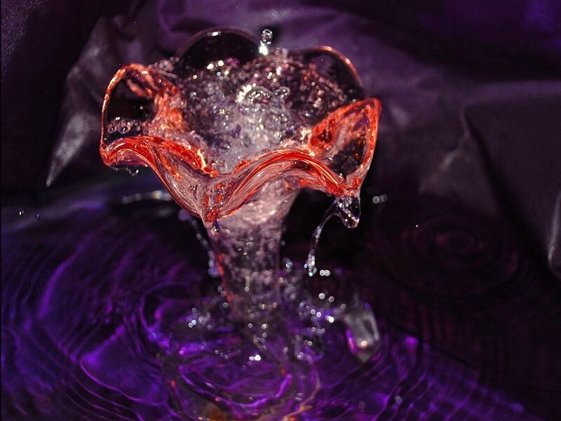 Glass Vase with Water