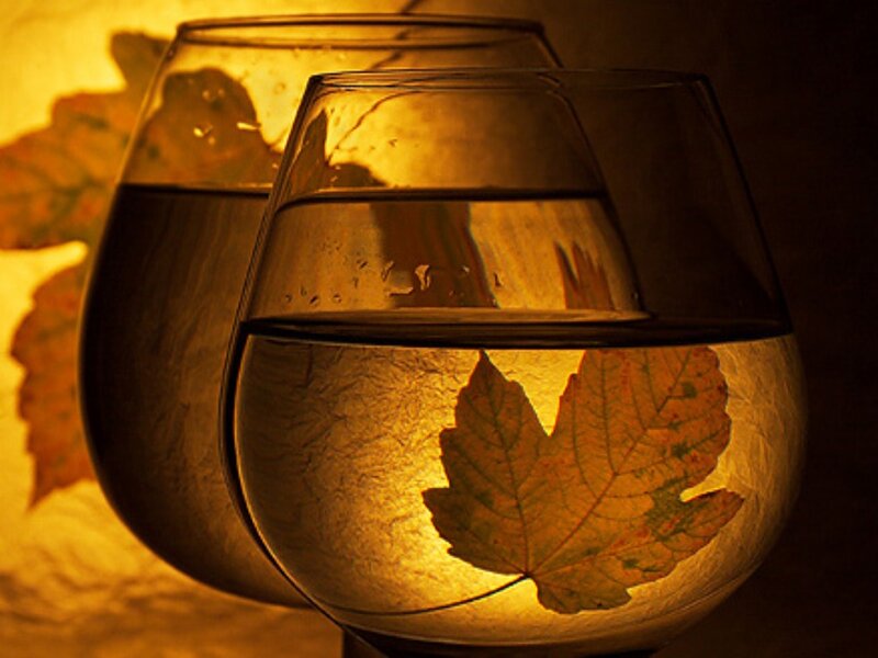 Glass with Leaf Inside