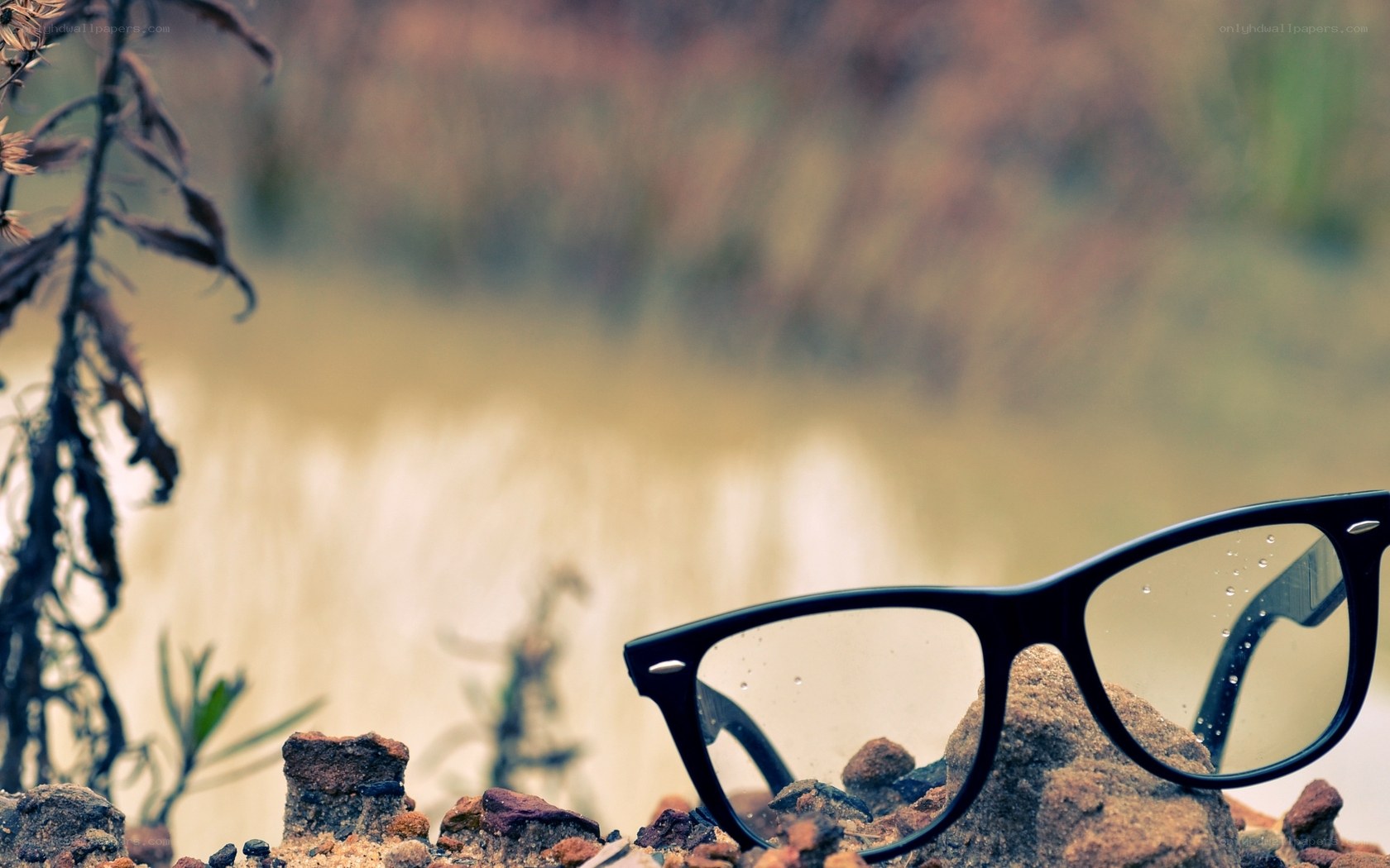 glasses on a rock by water