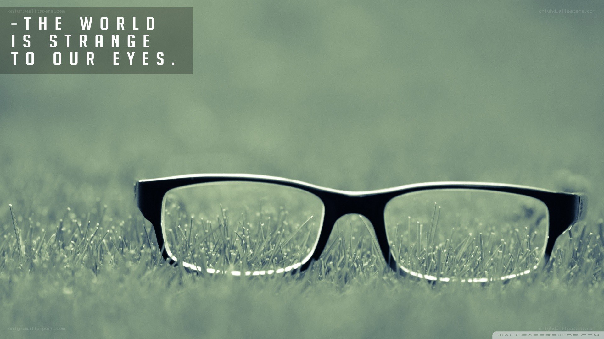 glasses on grass with quote
