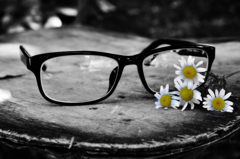 Glasses with Daisies