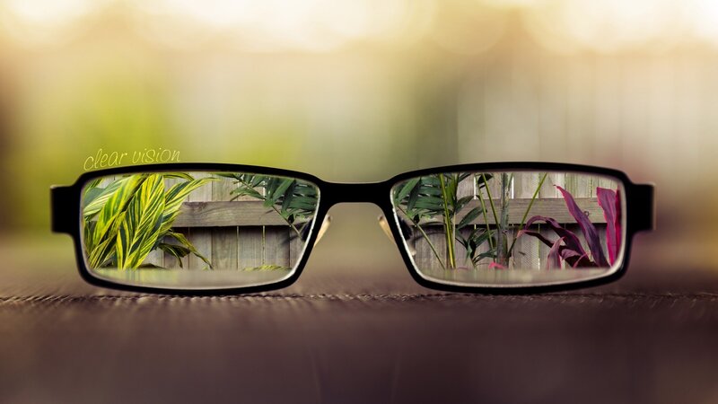 Glasses with Plant Reflection — Green, Serene, Sunset