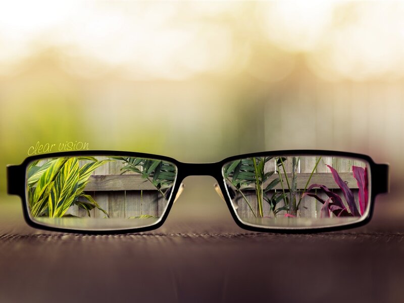 Glasses with Plant Reflection — Green