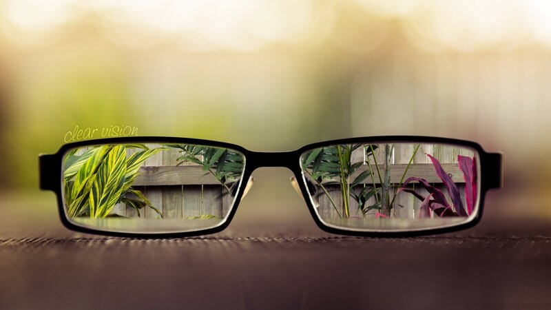 Glasses with Plants Reflection — Green, Serene