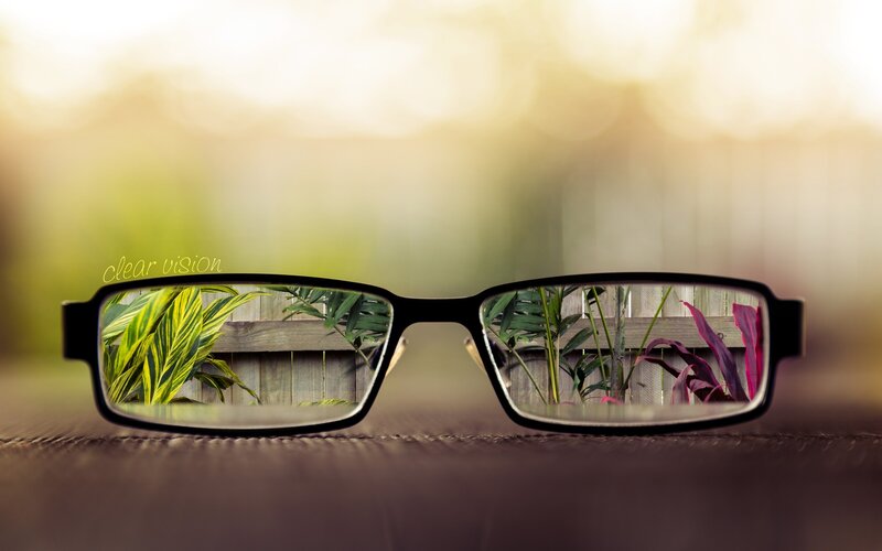 Glasses with Plants Reflection