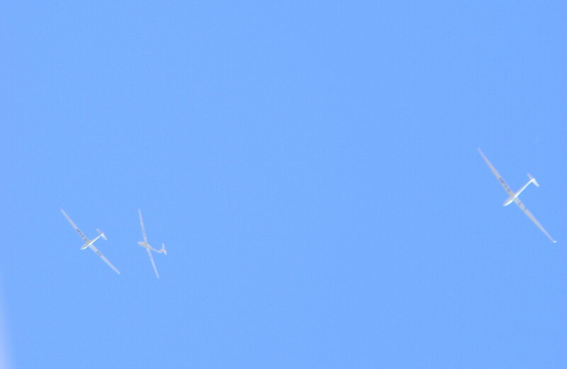 gliders in blue sky