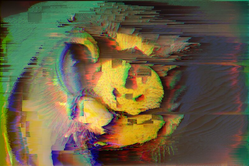Glitch Art Portrait — Yellow