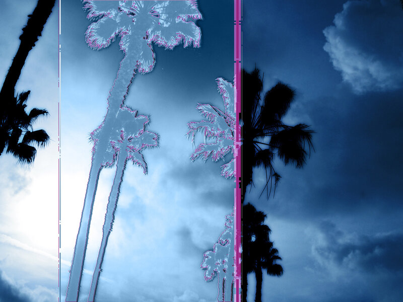 Glitchy palm trees at dusk
