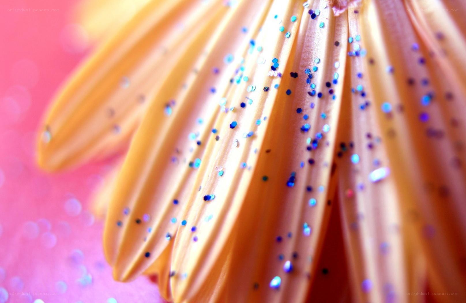 glitter on flower petals
