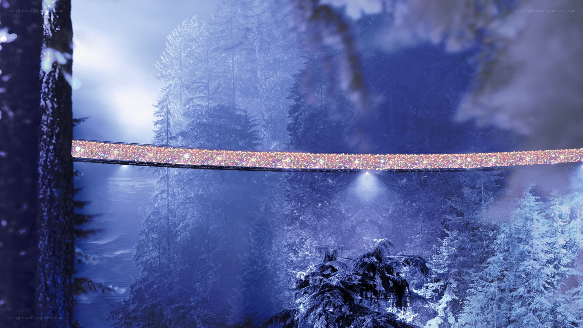 glittering bridge in snowy forest